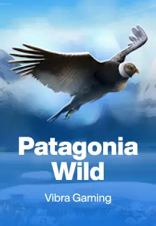 Patagonia Wilds